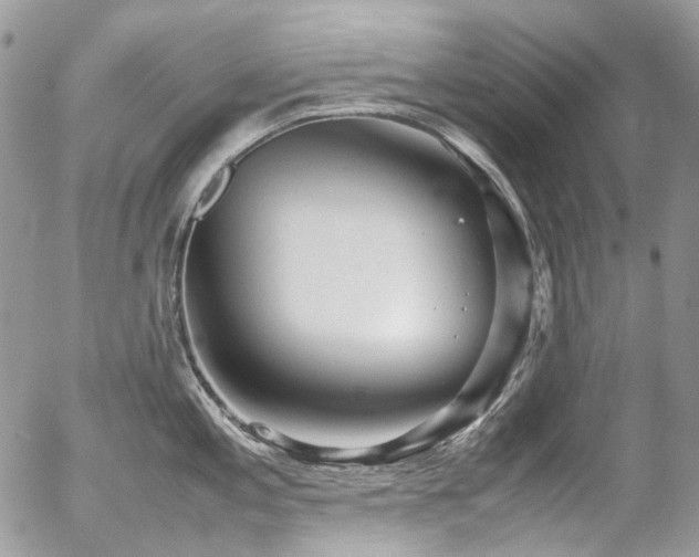 X0000054371197200507291039