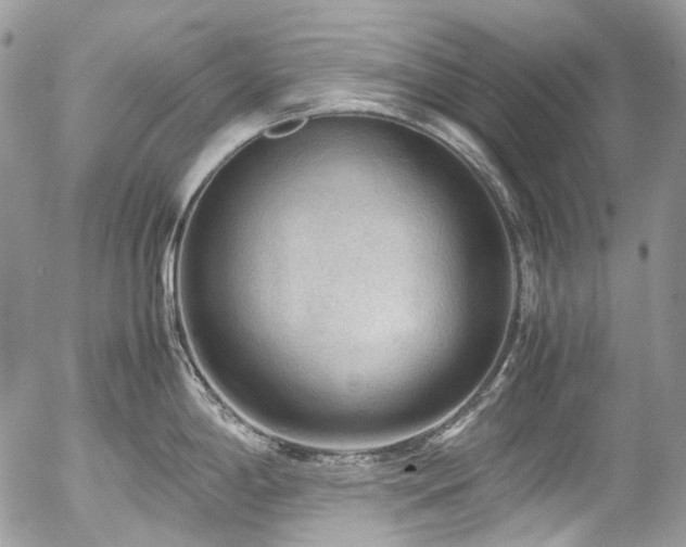 X0000054371198200507291039