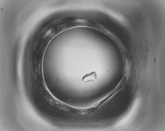 X0000054371199200507291039