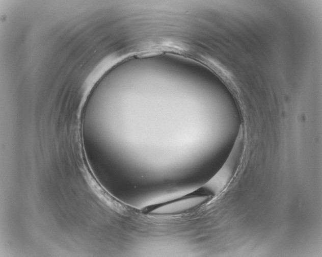 X0000054371200200507291039