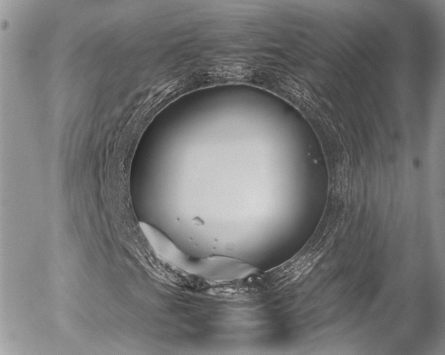 X0000054371201200507291038