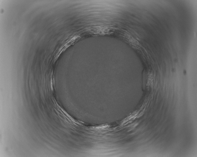 X0000054371202200507291038