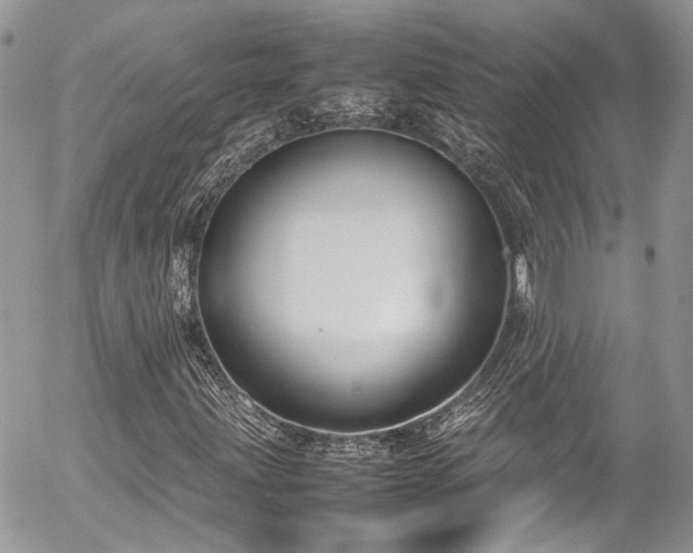 X0000054371203200507291038