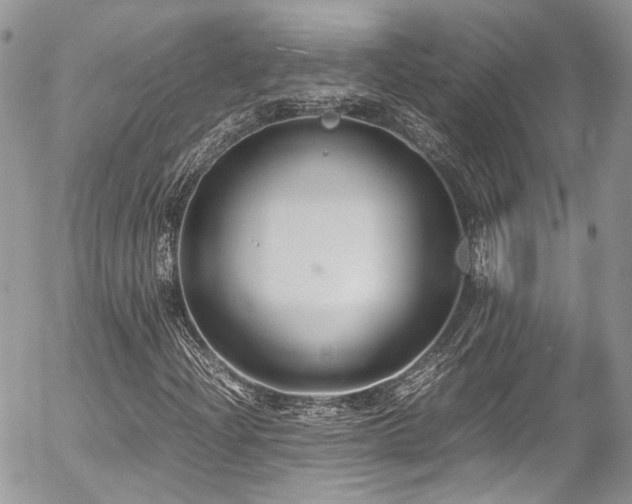 X0000054371204200507291038