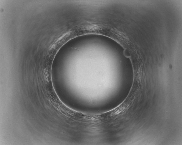 X0000054371205200507291038