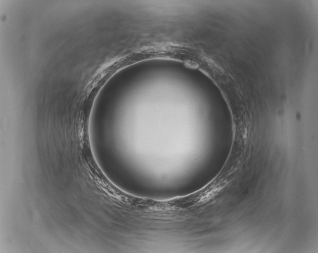 X0000054371206200507291038