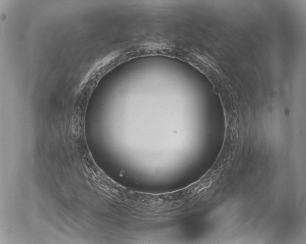 X0000054371207200507291038