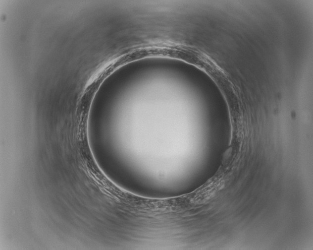 X0000054371208200507291038