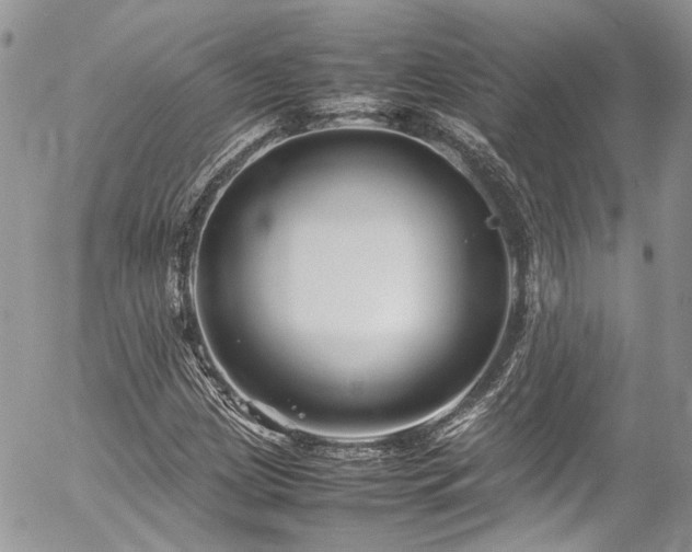 X0000054371209200507291038