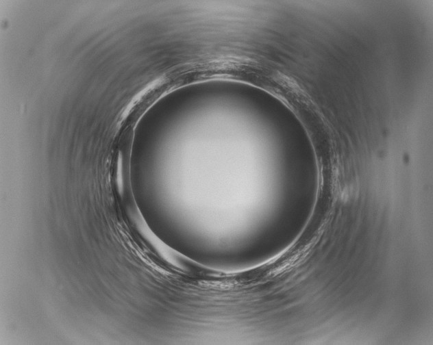 X0000054371210200507291038