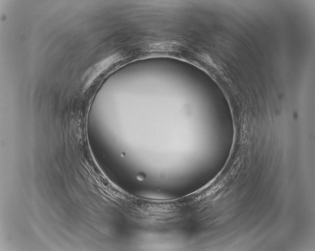 X0000054371211200507291038