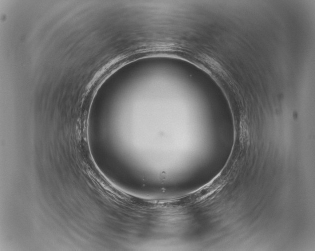 X0000054371212200507291038