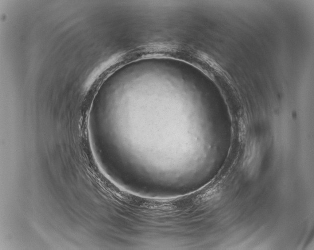 X0000054371213200507291038