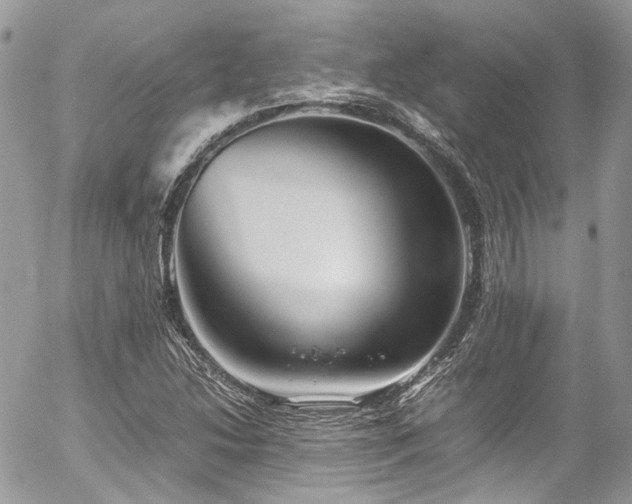 X0000054371214200507291038