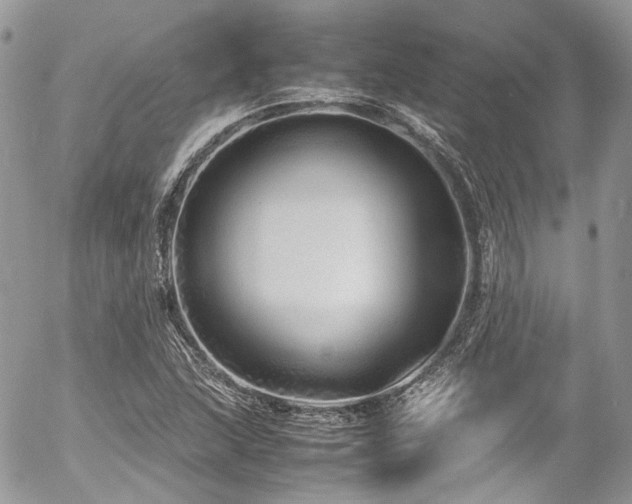 X0000054371215200507291038