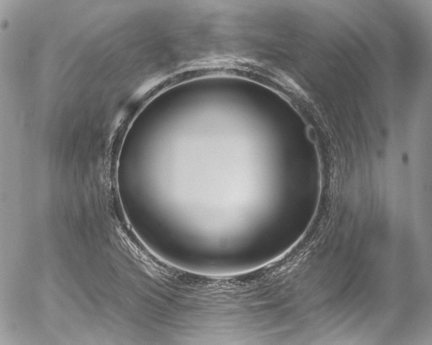 X0000054371216200507291038