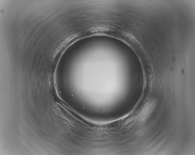 X0000054371217200507291038