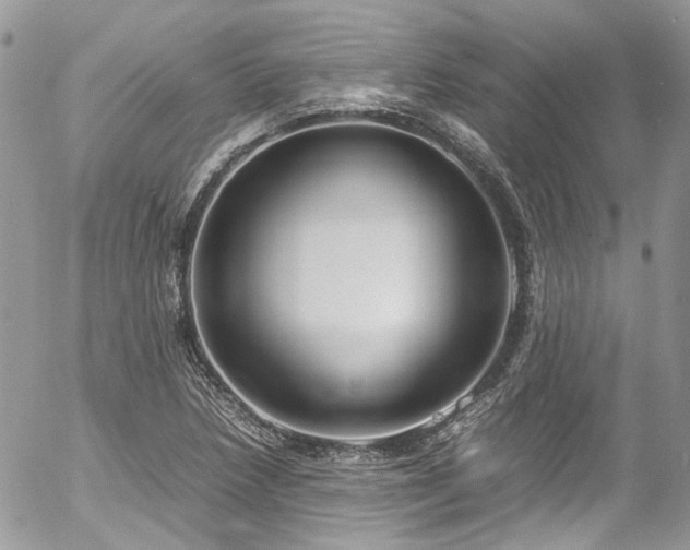 X0000054371218200507291038