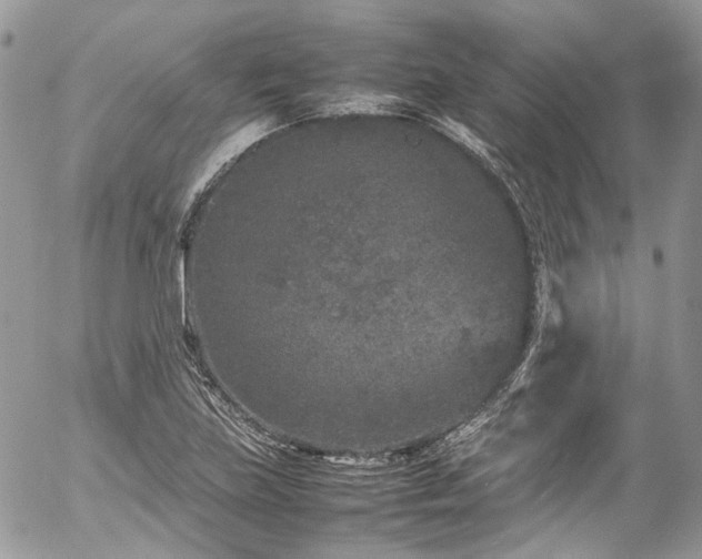 X0000054371219200507291038