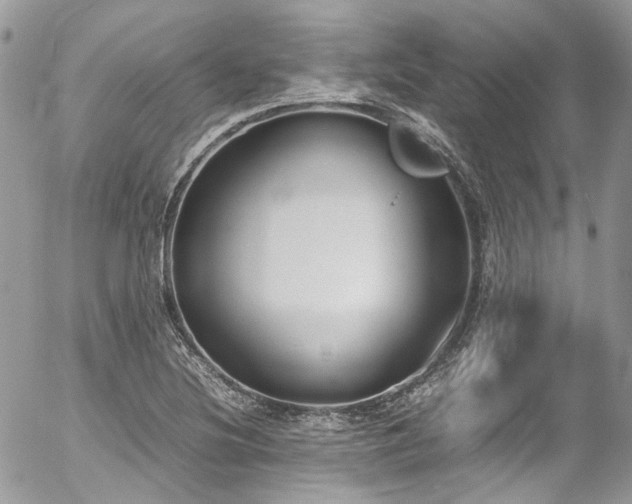 X0000054371220200507291038