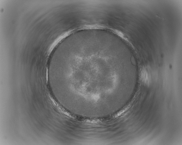 X0000054371221200507291038