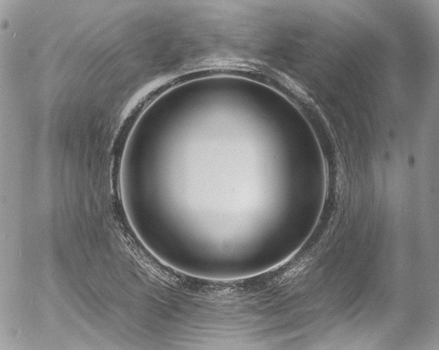 X0000054371222200507291038