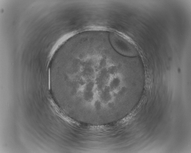 X0000054371223200507291038