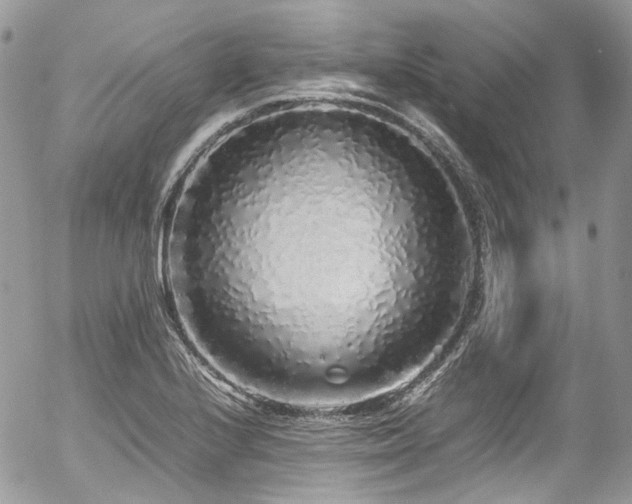 X0000054371224200507291038