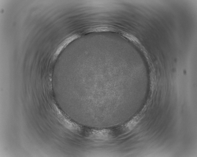 X0000054371225200507291038