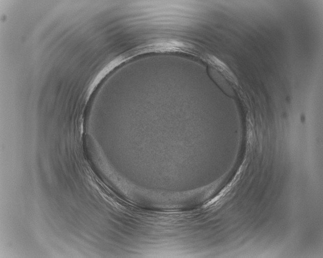 X0000054371226200507291038