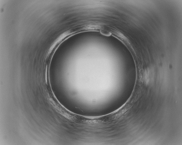 X0000054371227200507291038