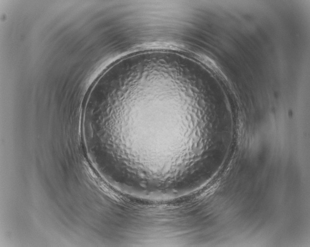 X0000054371228200507291038