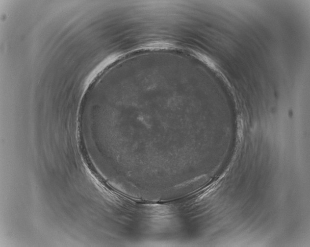 X0000054371229200507291038