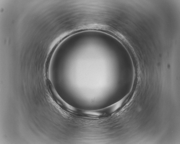 X0000054371230200507291038