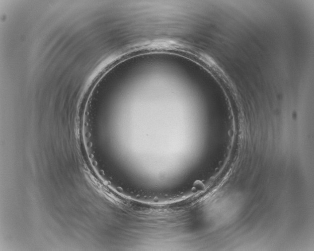 X0000054371232200507291038