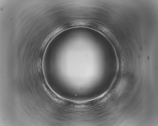 X0000054371233200507291038