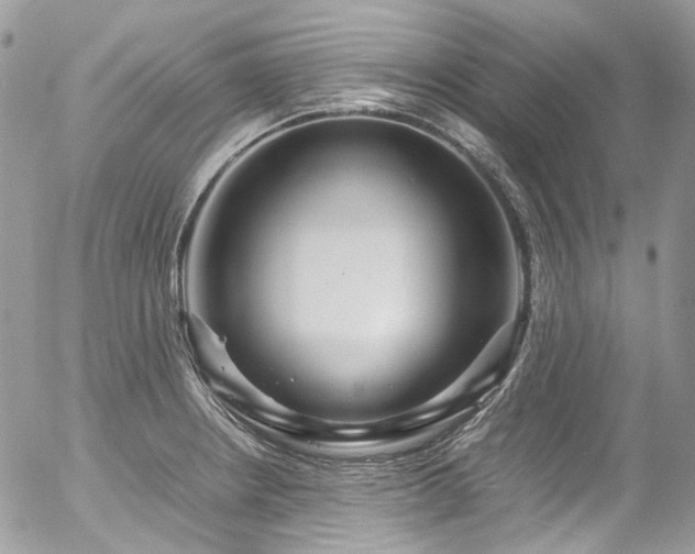 X0000054371234200507291038