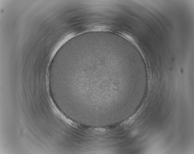 X0000054371235200507291038