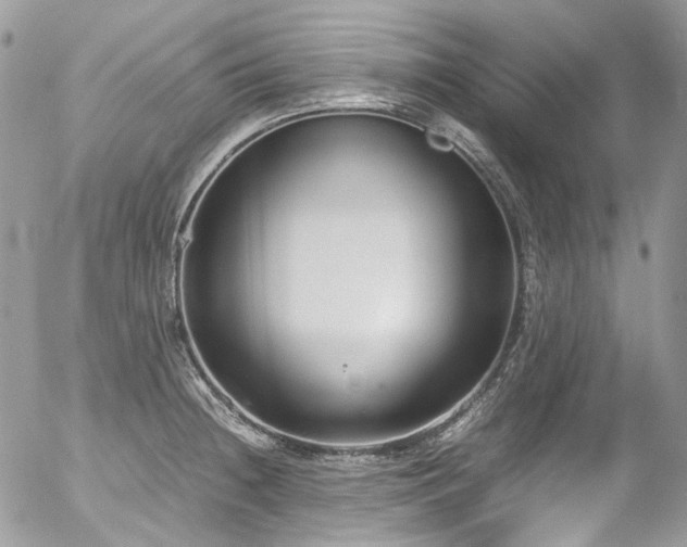 X0000054371236200507291038