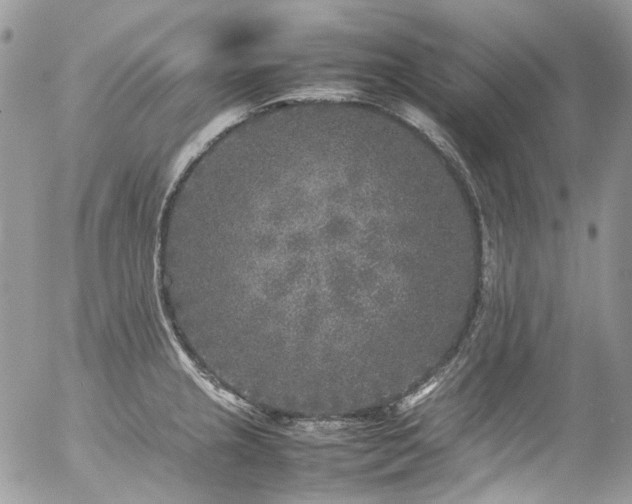 X0000054371237200507291038