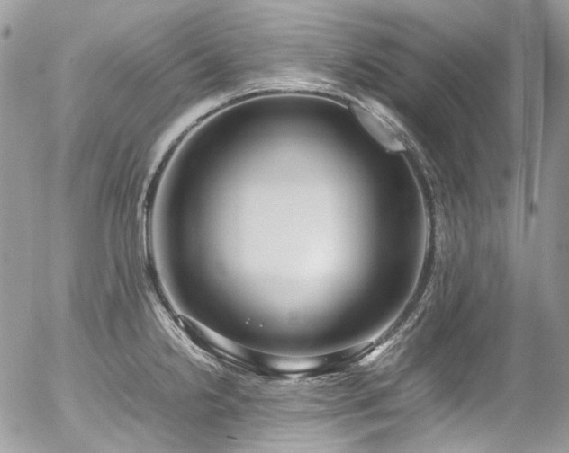 X0000054371238200507291038