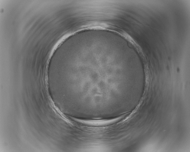 X0000054371240200507291038