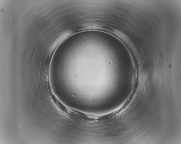 X0000054371241200507291038