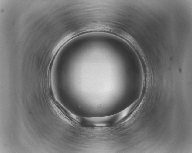 X0000054371242200507291038