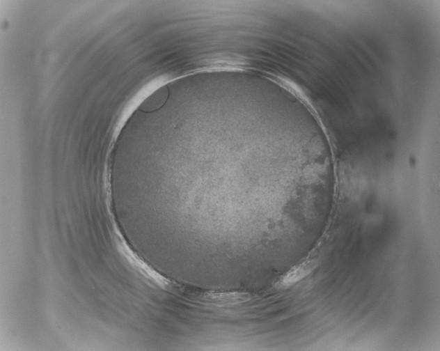 X0000054371243200507291039