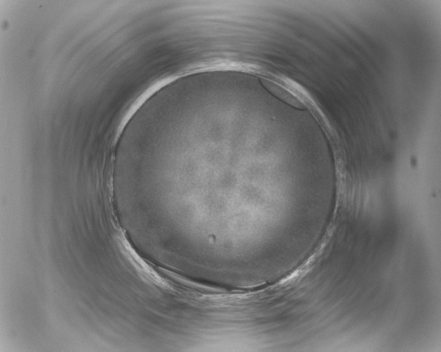 X0000054371244200507291039