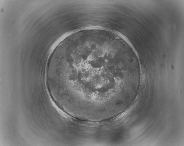 X0000054371245200507291039