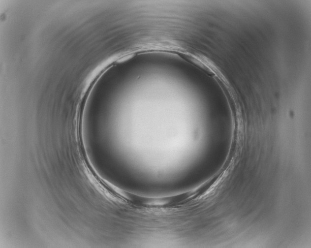 X0000054371246200507291039