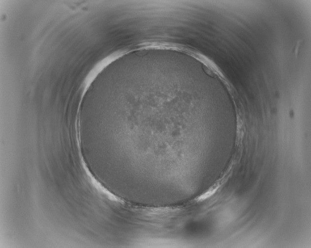 X0000054371247200507291039