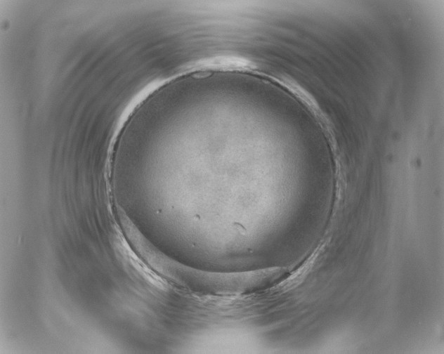 X0000054371248200507291039